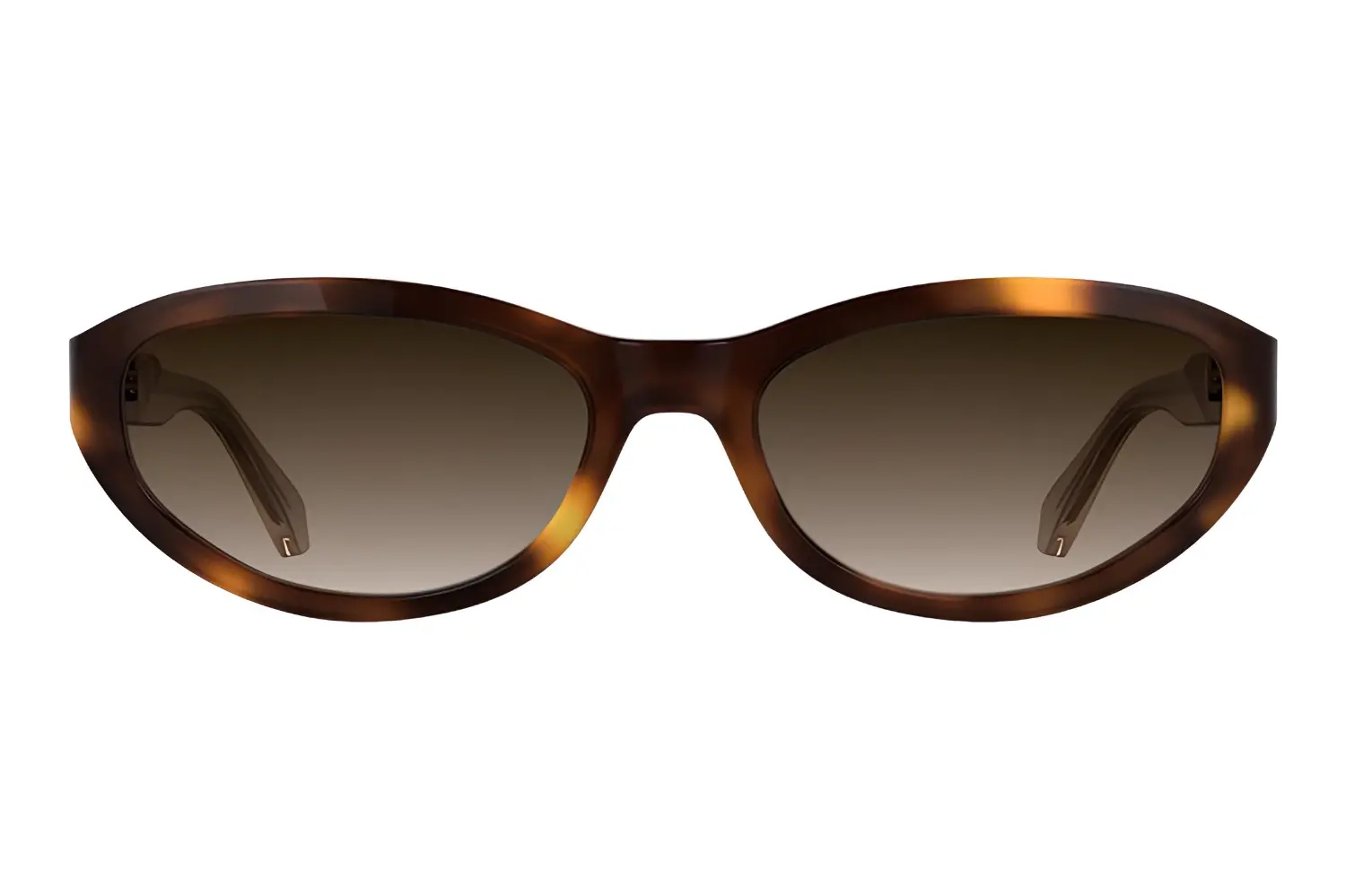 Calvin Klein Jeans 25618S-235 Havana