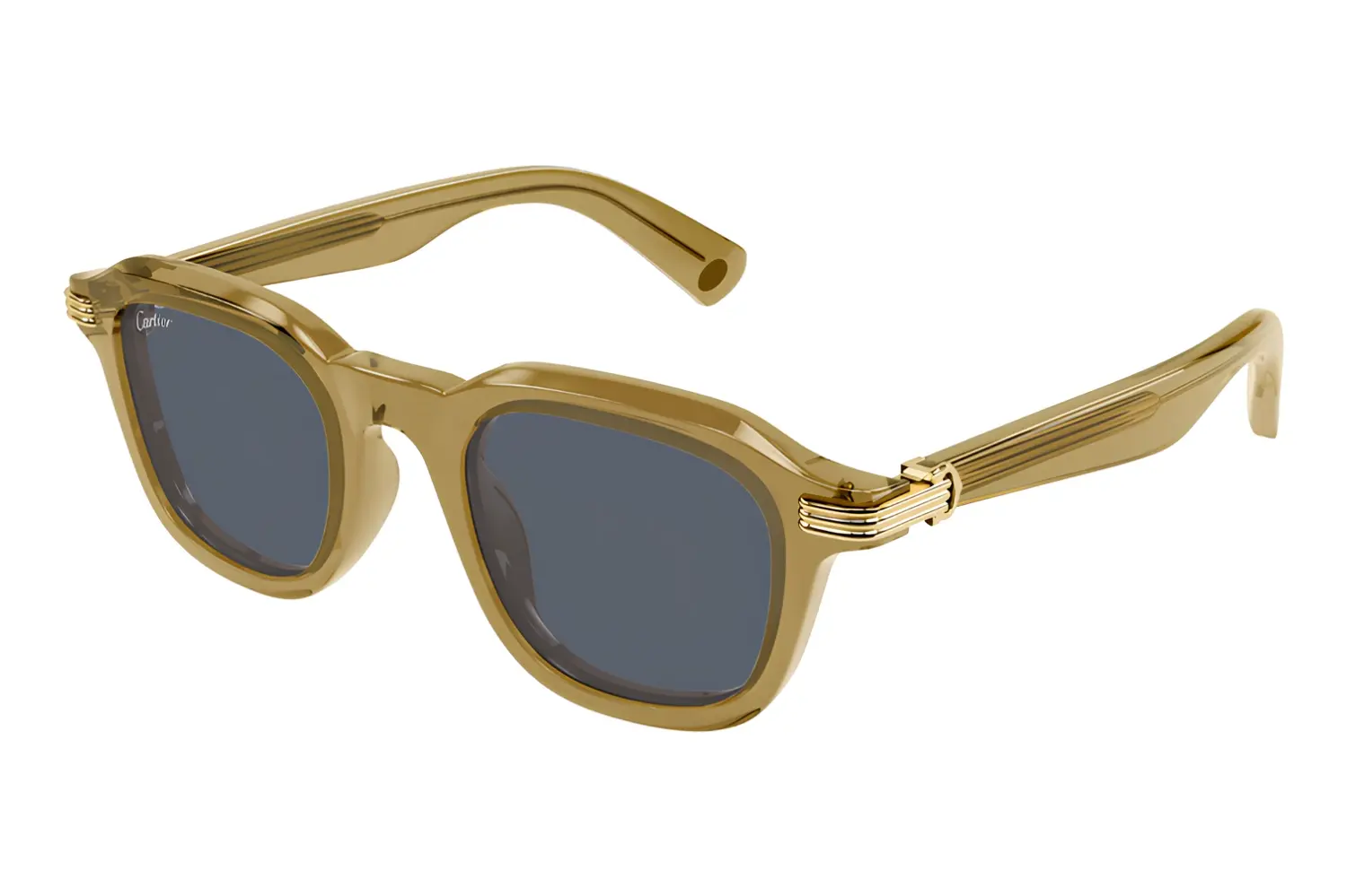 Cartier CT0536S 005