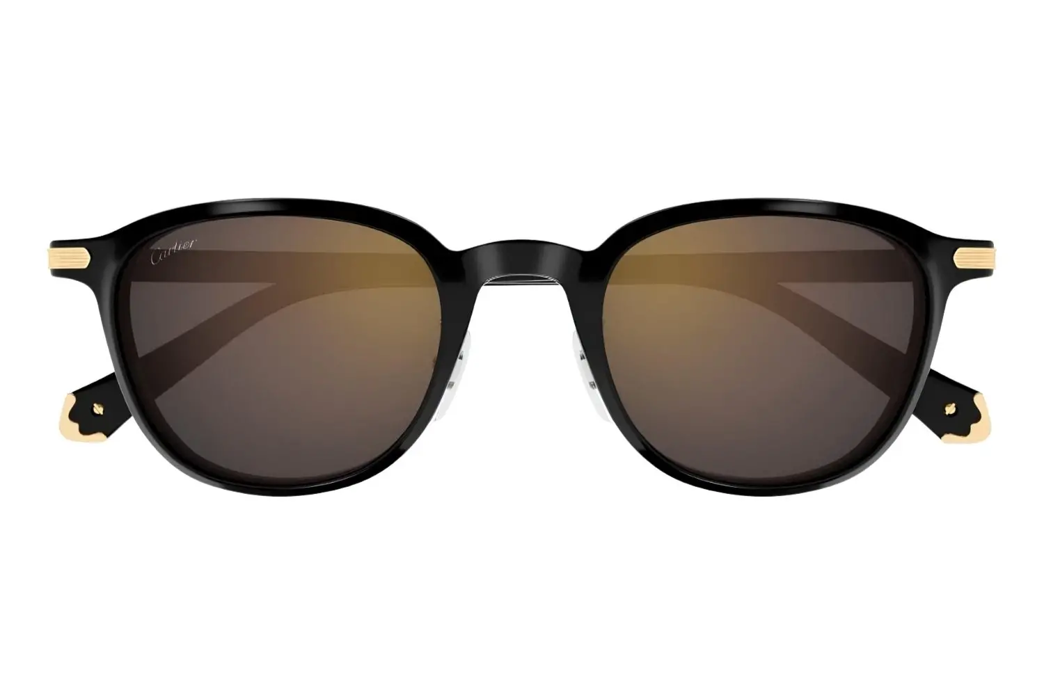 Cartier CT0541SA 005