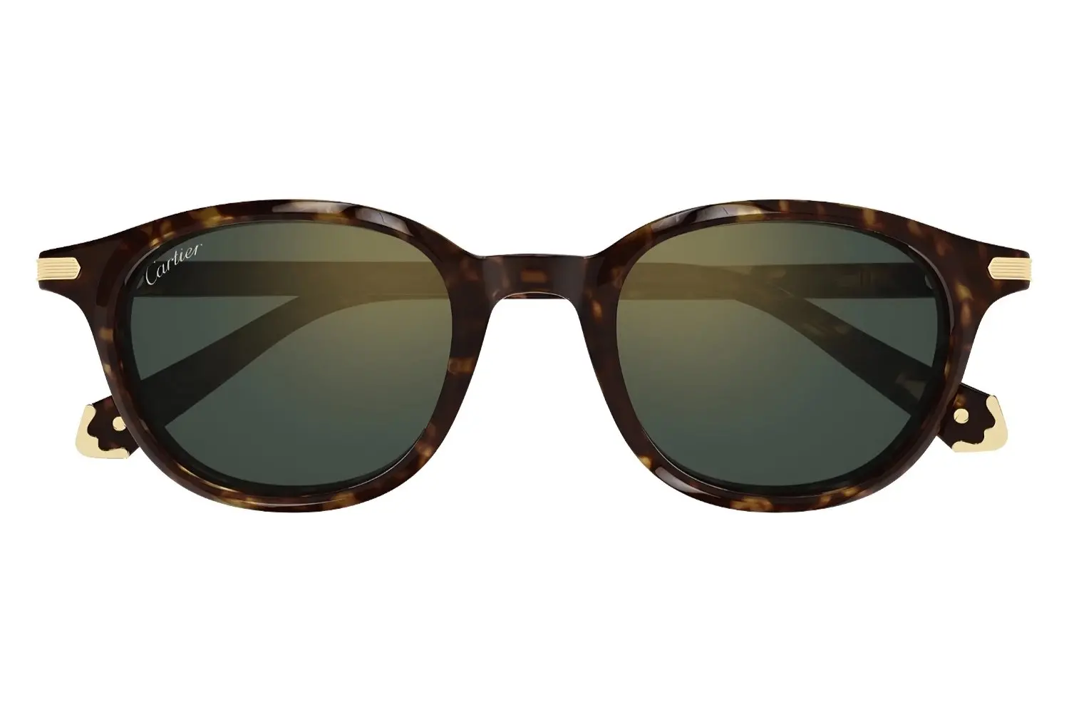 Cartier CT0541SA 006