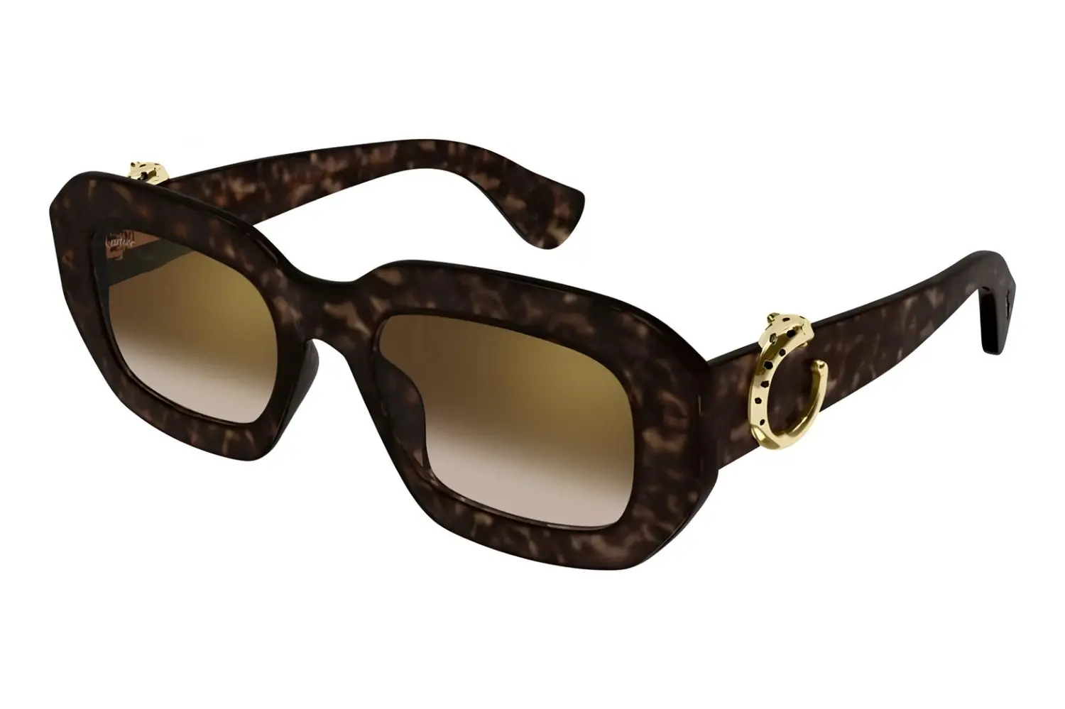 Cartier CT0546S 002