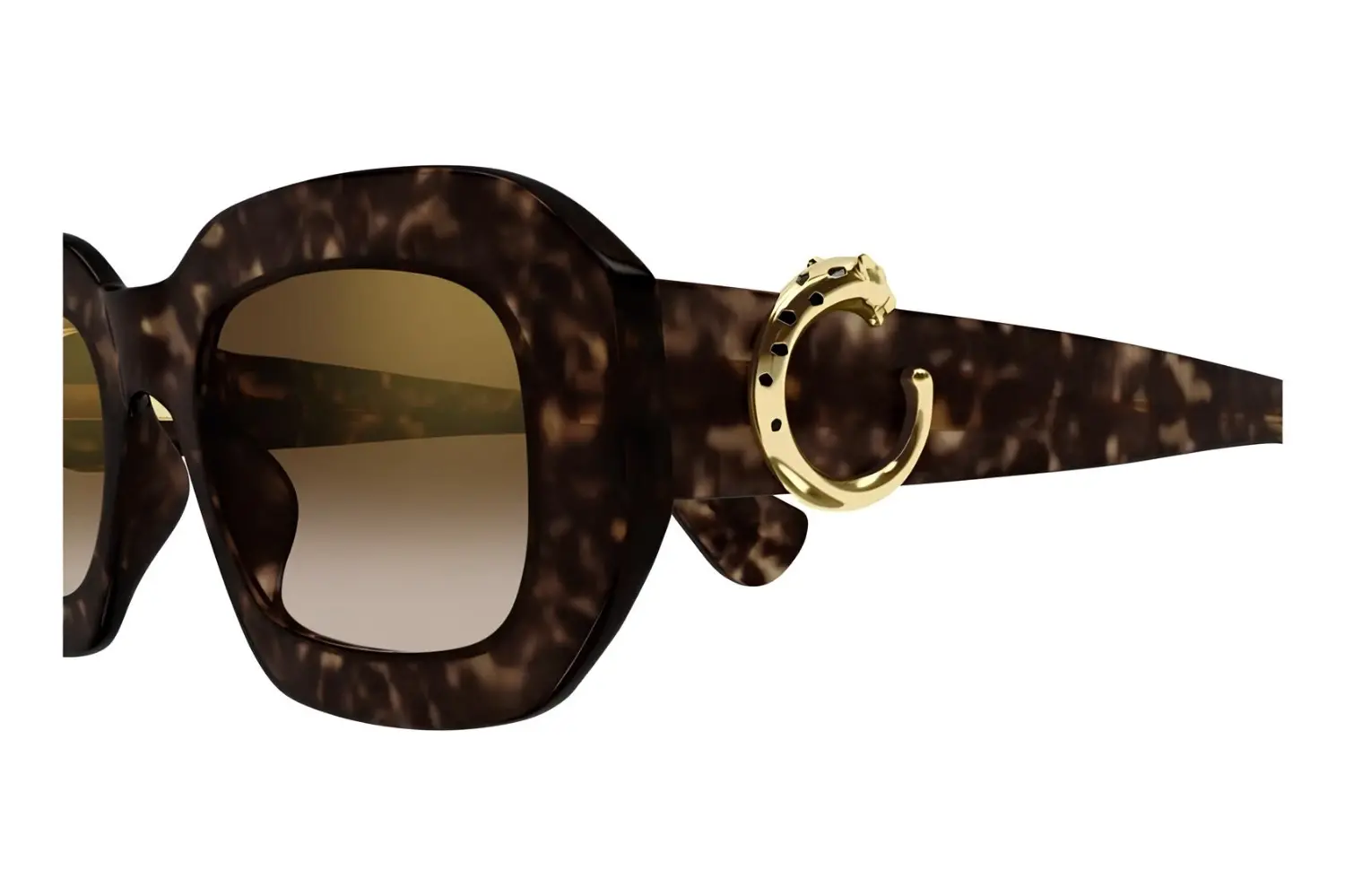 Cartier CT0546S 002