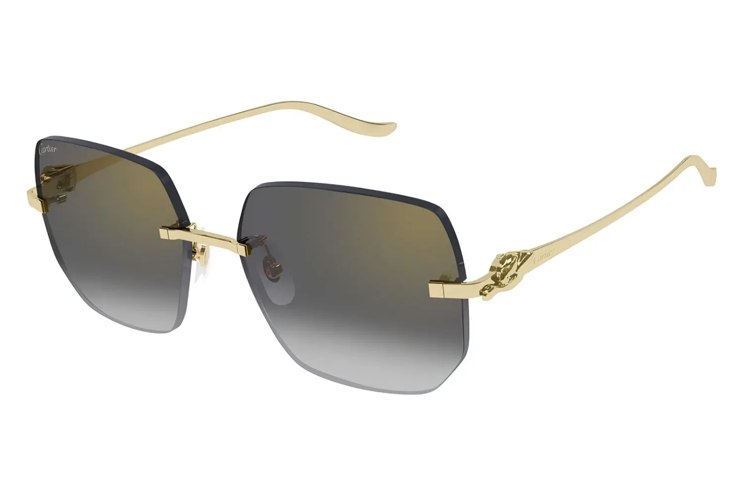 Cartier CT0549S 001