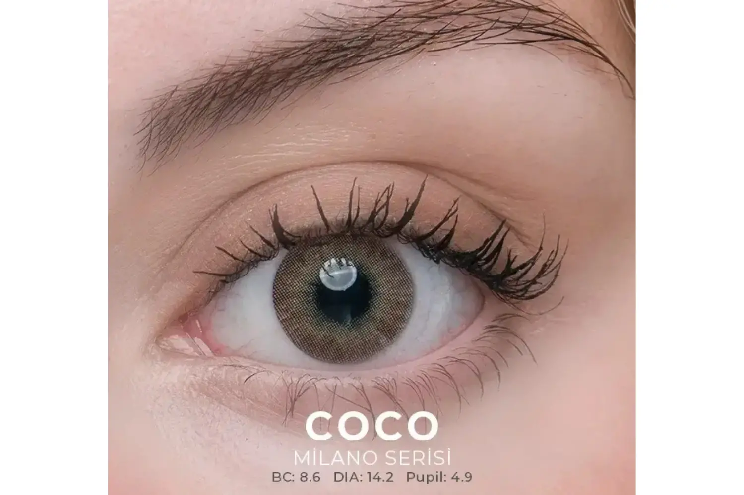 COCO