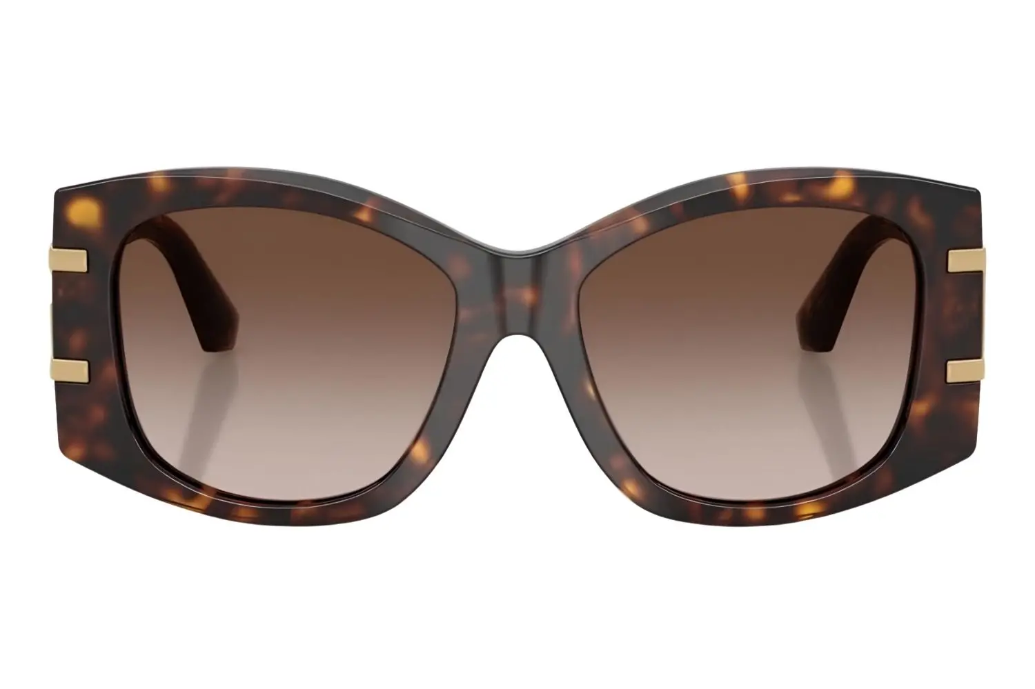 Dolce & Gabbana DG 4501 502/13 54