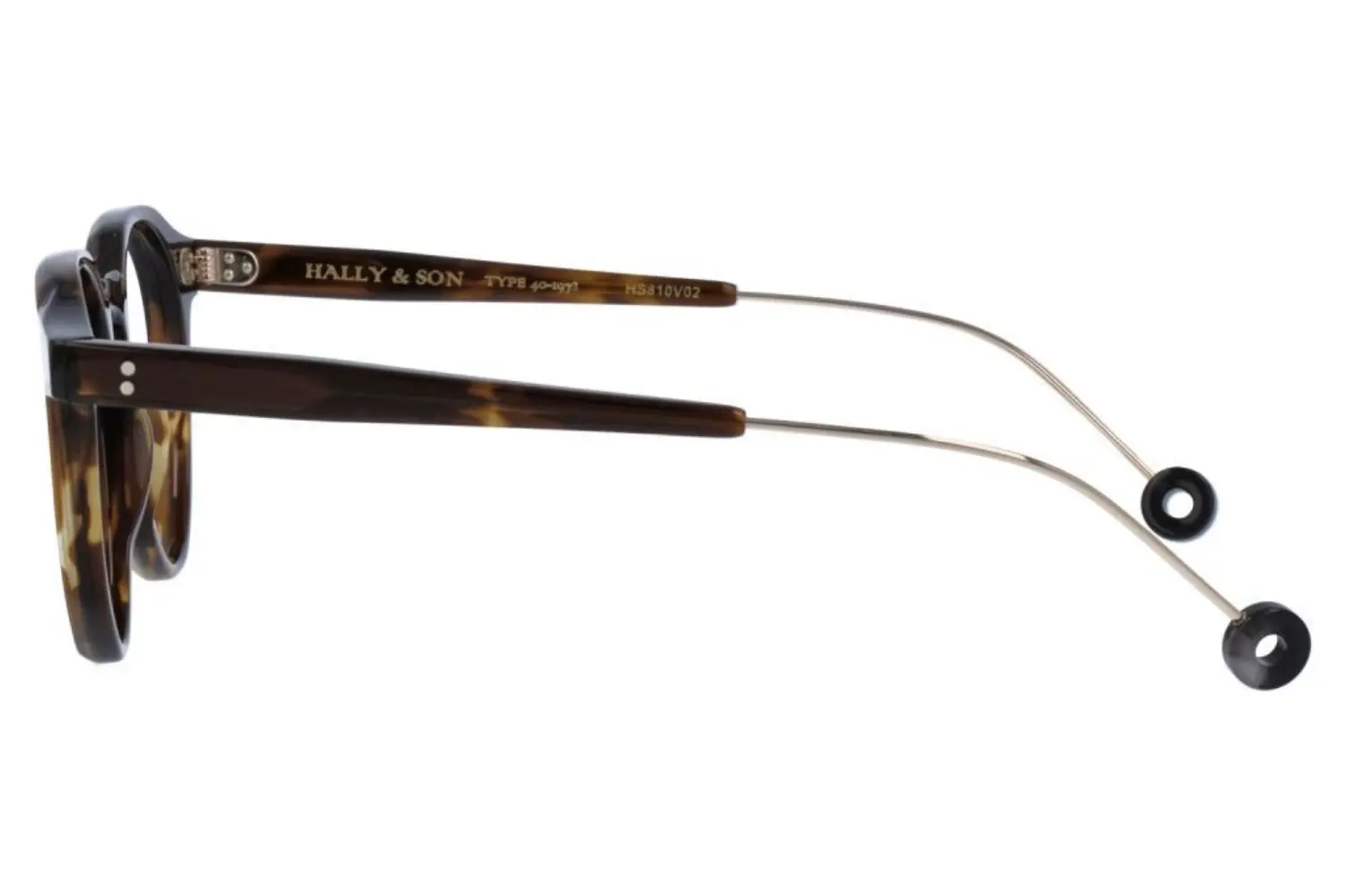 Hally and Son HS810 V02