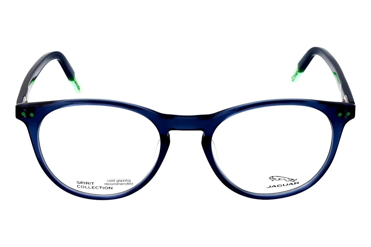 Jaguar 31511 4791 5019