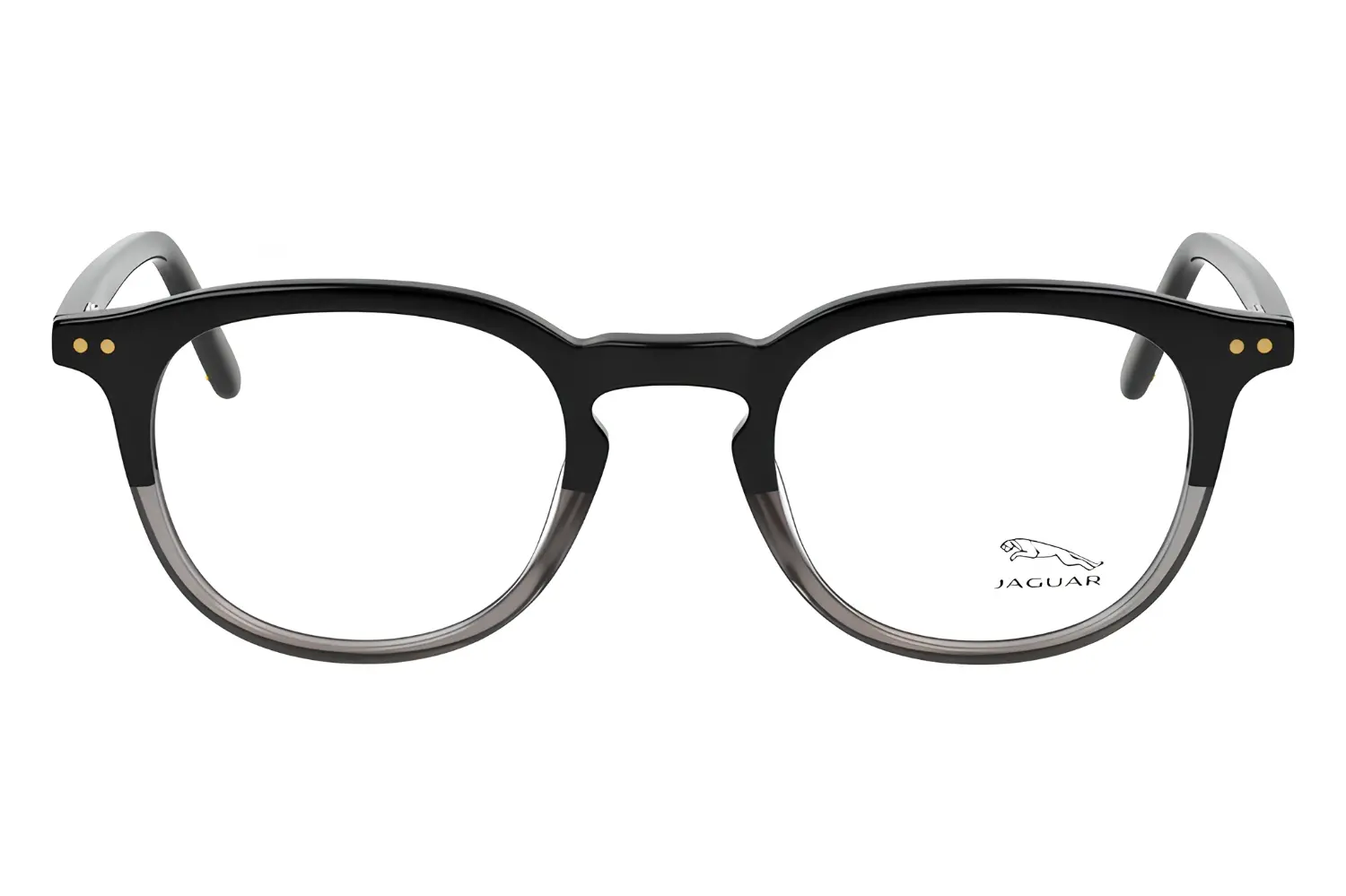 Jaguar 31710 5098 47-22