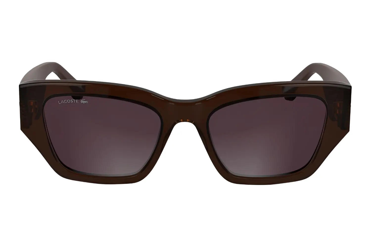 Lacoste L6053SN 210 Dark Brown