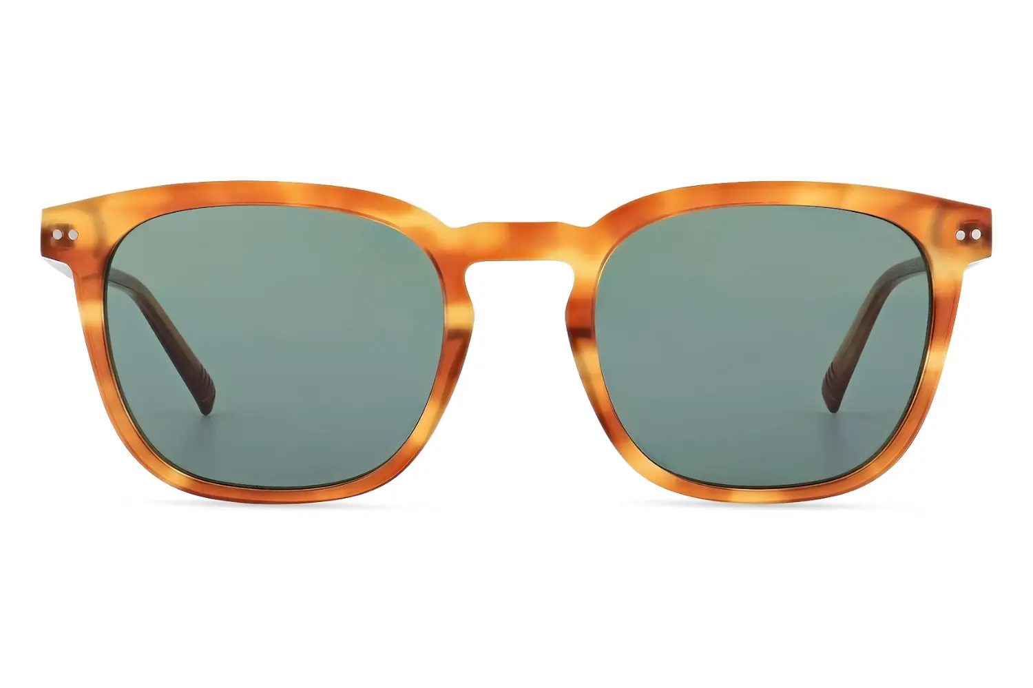 Morel Panama 2. TG04 5321