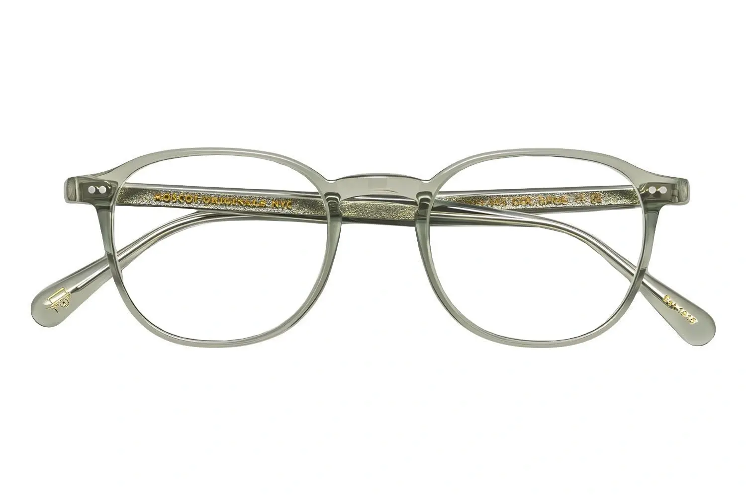Moscot Arthur Sage 48