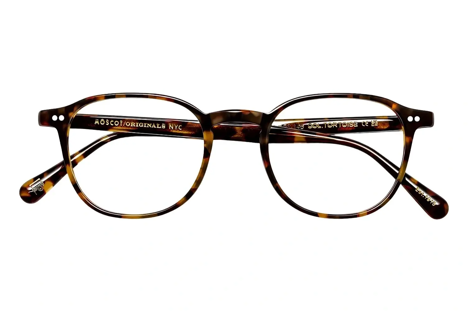 Moscot Arthur Tortoise 48