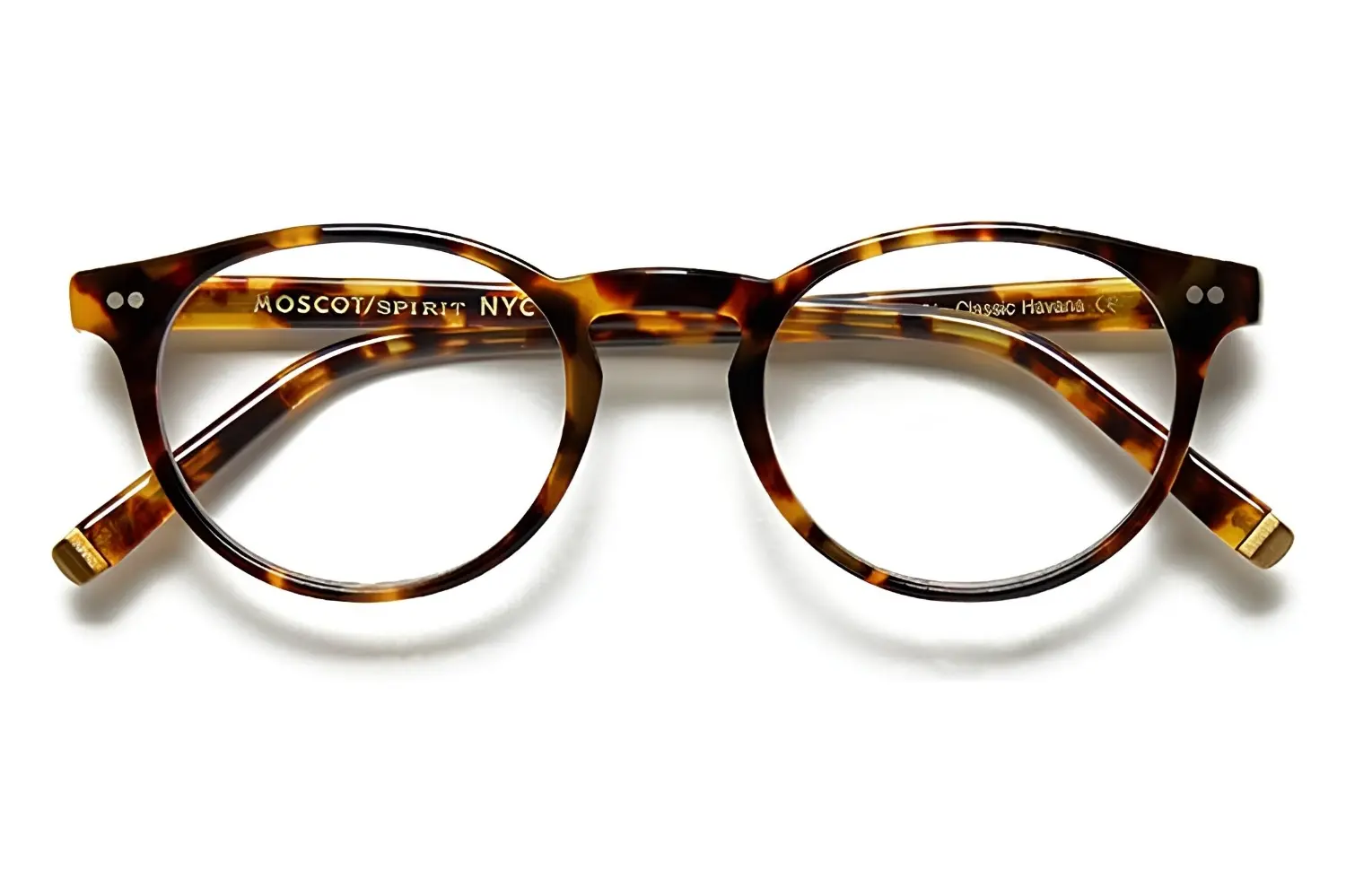Moscot Frankie Classic Havana 45