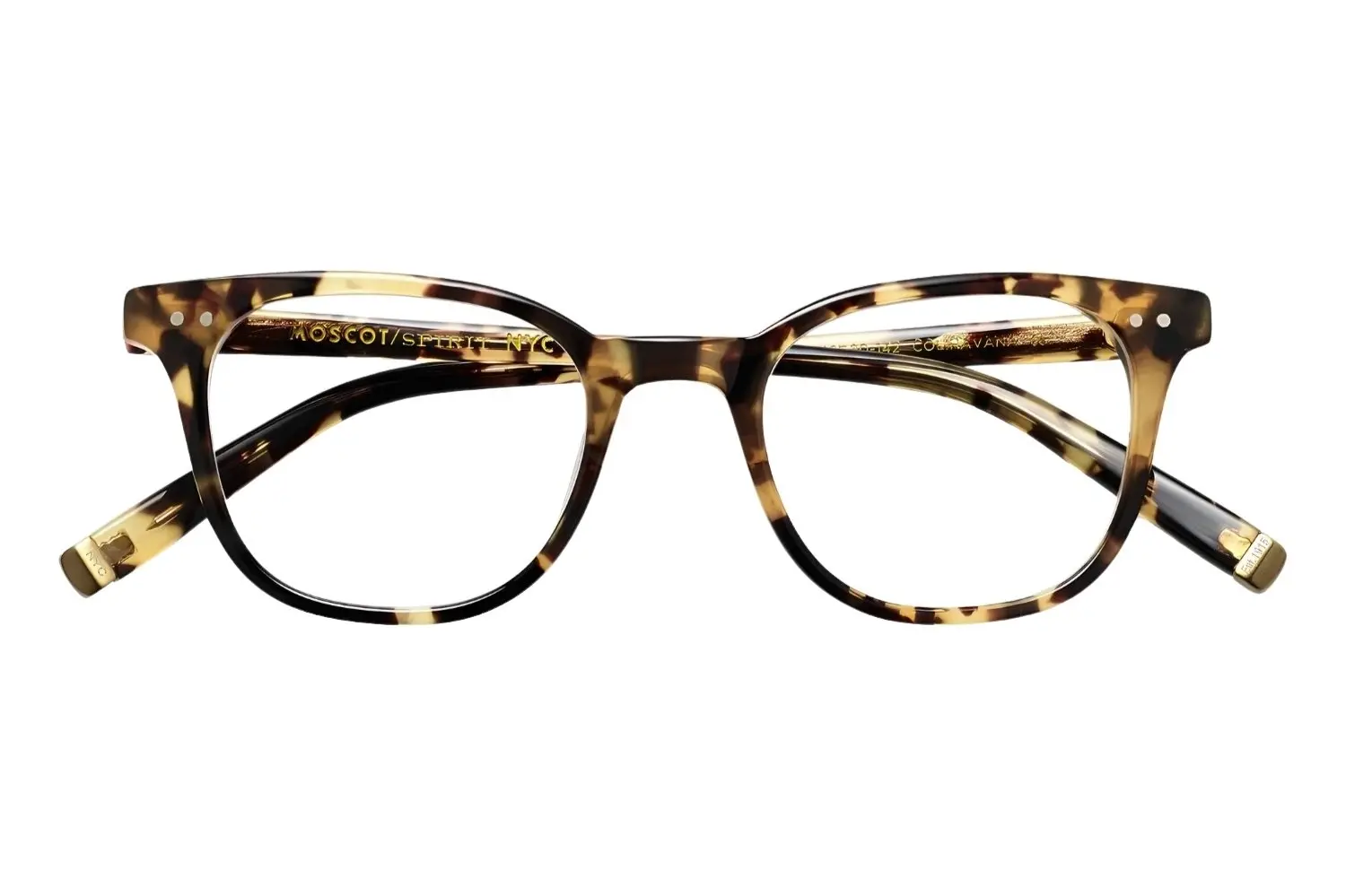 Moscot Loren Havana 46 0800-01