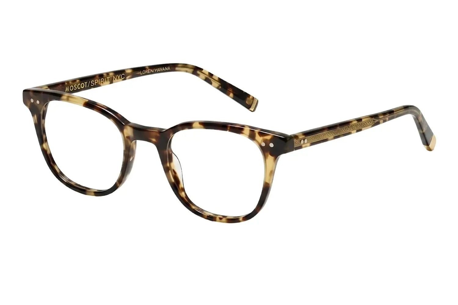 Moscot Loren Havana 46 0800-01