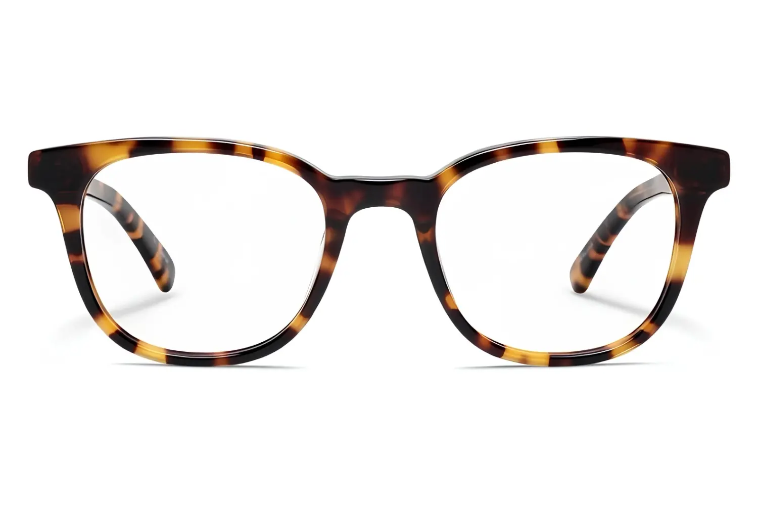 Moscot Loren Havana 49