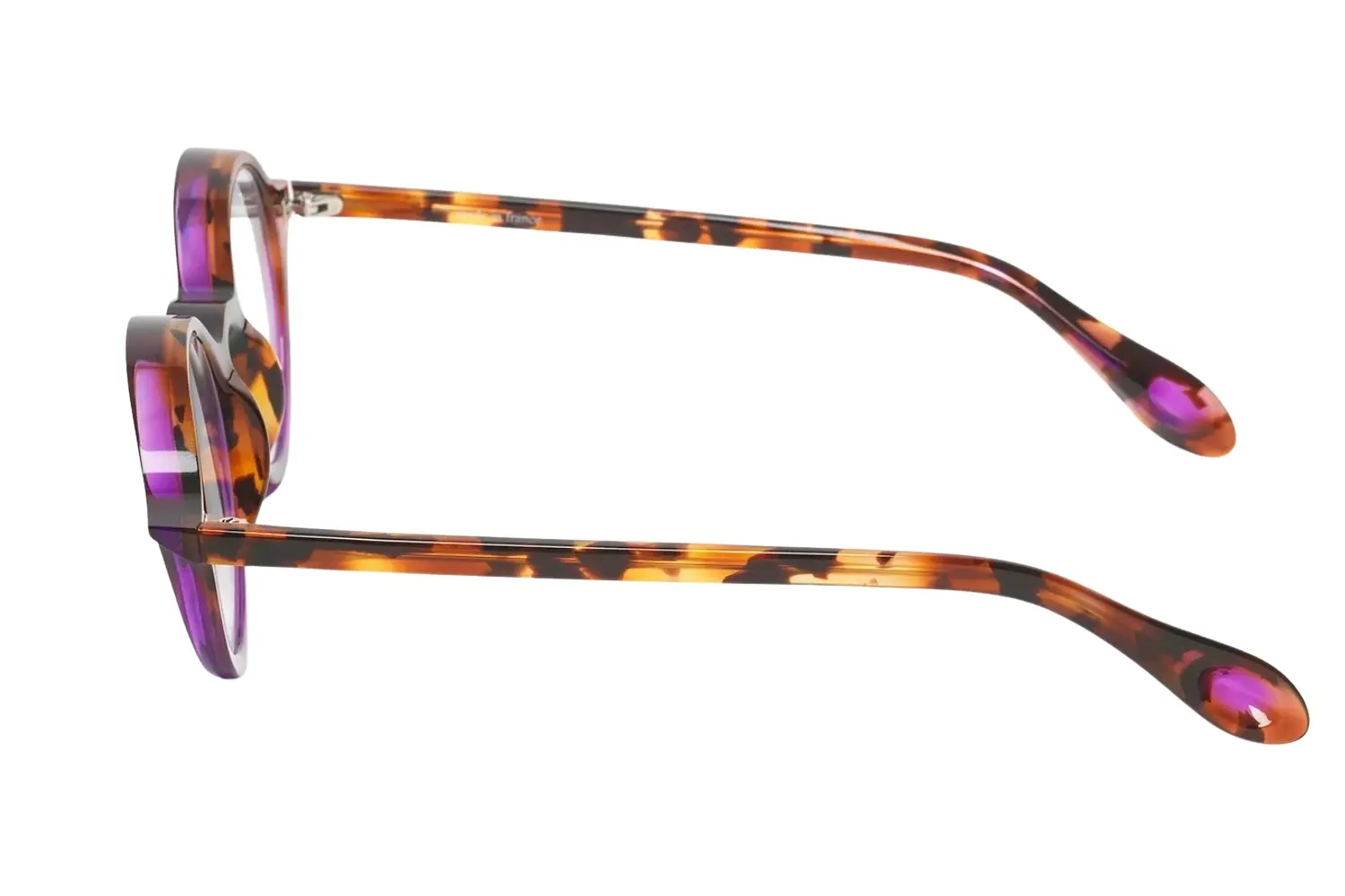 Theo Sunrise 008 Brown Dalmatian