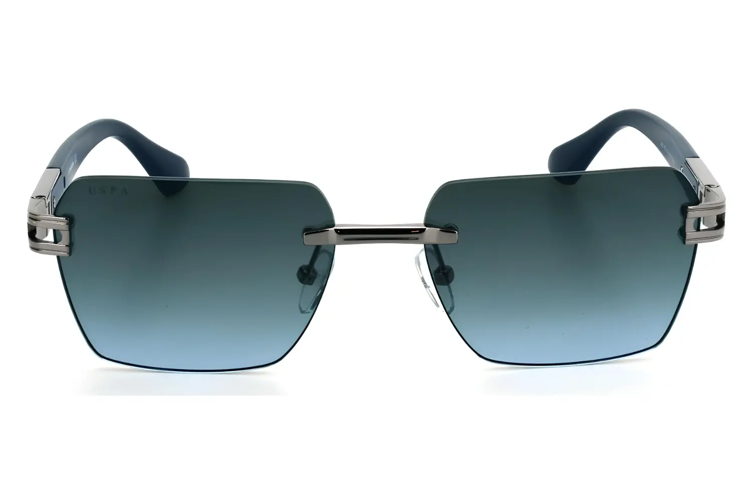 Us Polo Assn. 0031 C2