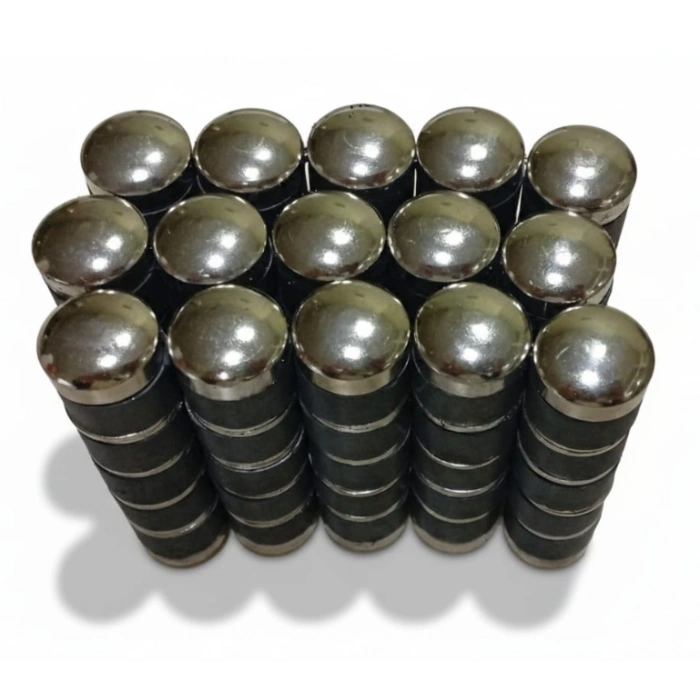 BÜYÜKBAŞ HAYVAN RUMEN MIKNATISI