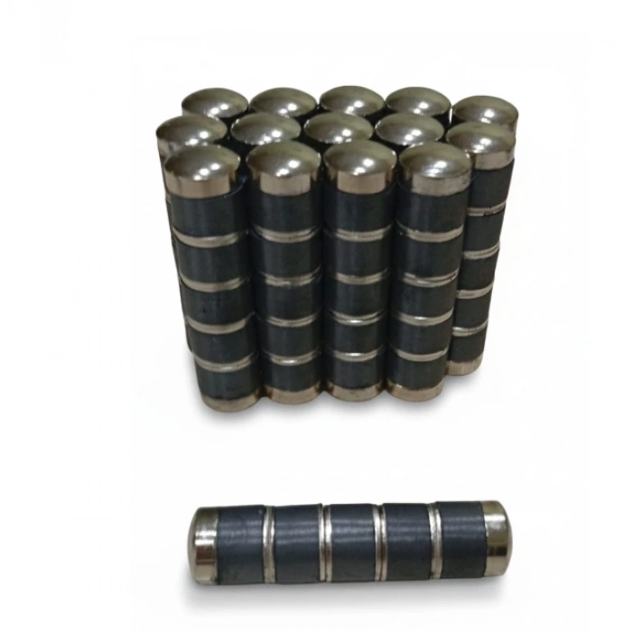 BÜYÜKBAŞ HAYVAN RUMEN MIKNATISI