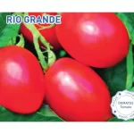 Biogen Rio Grande Domates Tohumu 10gr 1 Paket