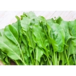 Biogen Kuzu Kulağı Tohumu 5GR 1 Paket