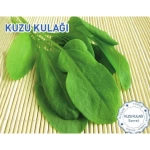 Biogen Kuzu Kulağı Tohumu 5GR 1 Paket