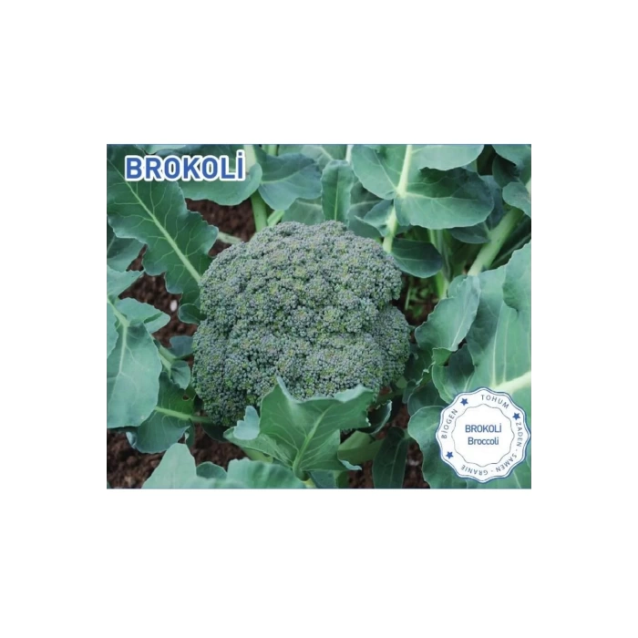 Biogen Brokoli Tohumu 5gr 1 Paket