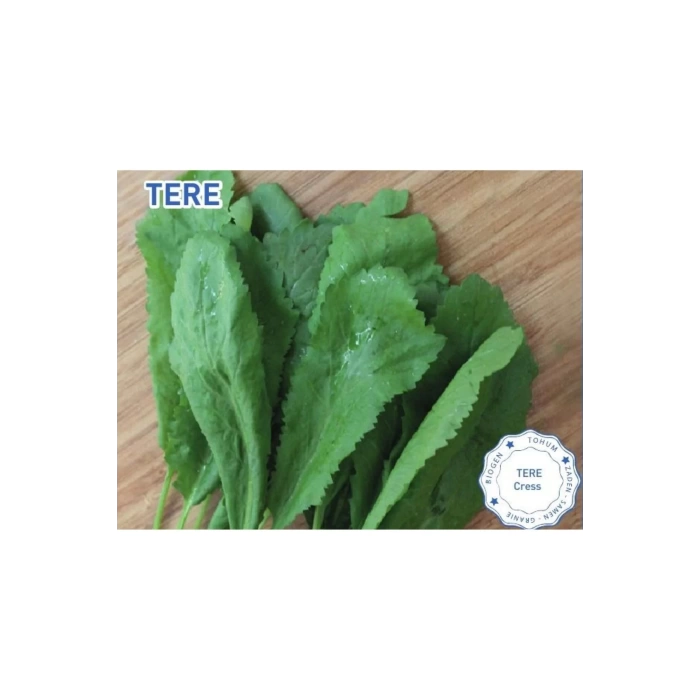 Biogen Tere Tohumu 25gr 1 Paket