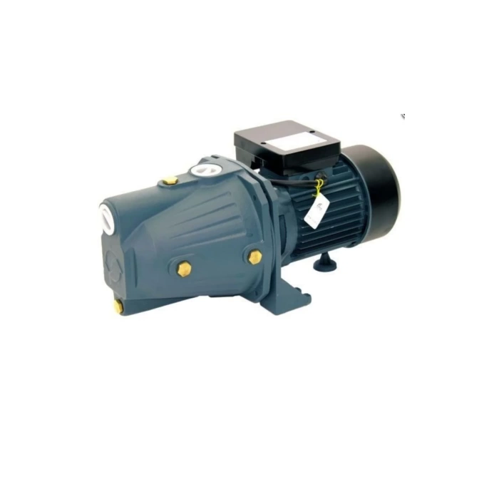 Rainpump SGJW110 Santrifuj Pompa 1.5Hp Bakır Sargılı