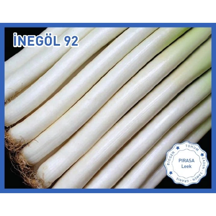 Biogen Pırasa Tohumu İnegöl92 10GR 1 Paket