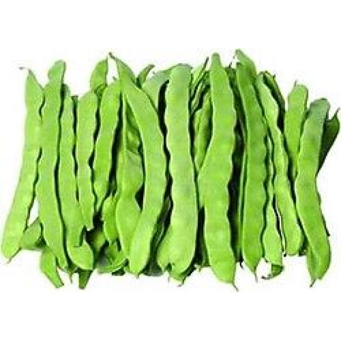 Alman Ayşe Fasulye Tohumu Sırık 100gr