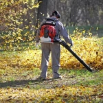 Cifarelli BL1200 Fındık Yaprak Üfleme Makinası 5HP