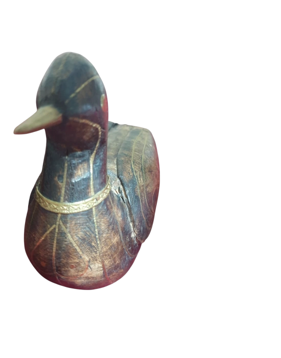 Ahşap Ördek