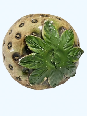 Dekoratif Çilek İç Ve Diş Mekana Uygun