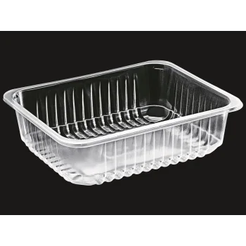 Et Kabı 227 X 178 mm (PP) H:40 Şeffaf 21 Gr