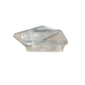 Sert Plastik Gıda Kabı PP Kase (Kilit Kapaklı) Dikdörtgen 700 ml