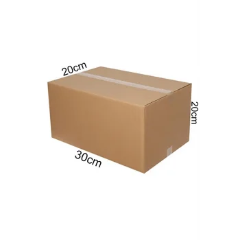 Taşıma Kutusu (Baskısız) 30x20x20