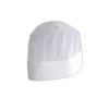 Aşçı Kepi 10lu