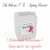 Carpex 5 lt Spring Flowers Oda Kokusu