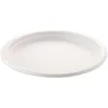 Karton Tabak 26 Cm Lİ 50 Lİ