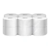 Mini Jumbo Tuvalet Kağıdı 2,5 kg