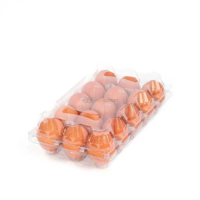 15li Plastik Yumurta Viyolü (100 Adet)