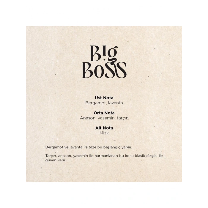 Carpex Big Boss Maxx Pro 600 Koku Kartuşu 120 ml