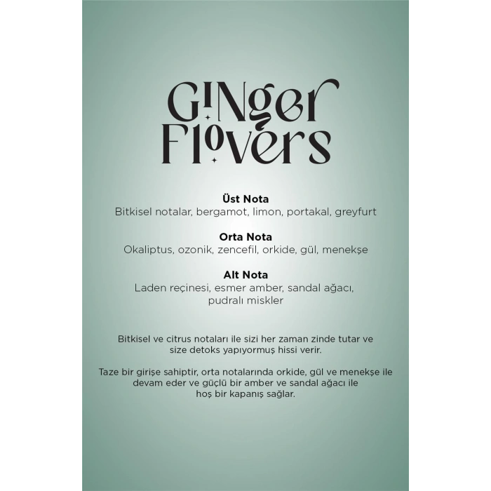 Carpex Micro Basic Siyah Koku Makinesi + 50 ml Ginger Flowers Kartuş