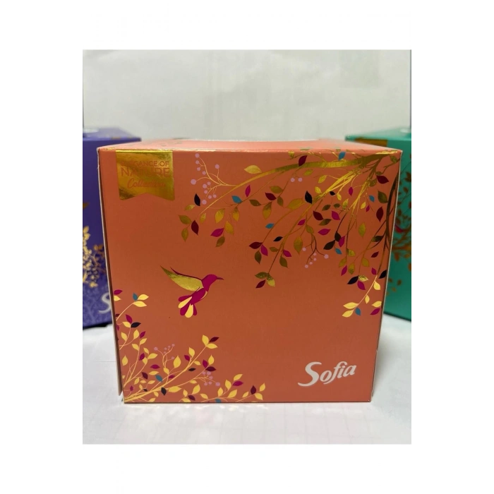Sofia Küp Kutu Mendil 50 Li