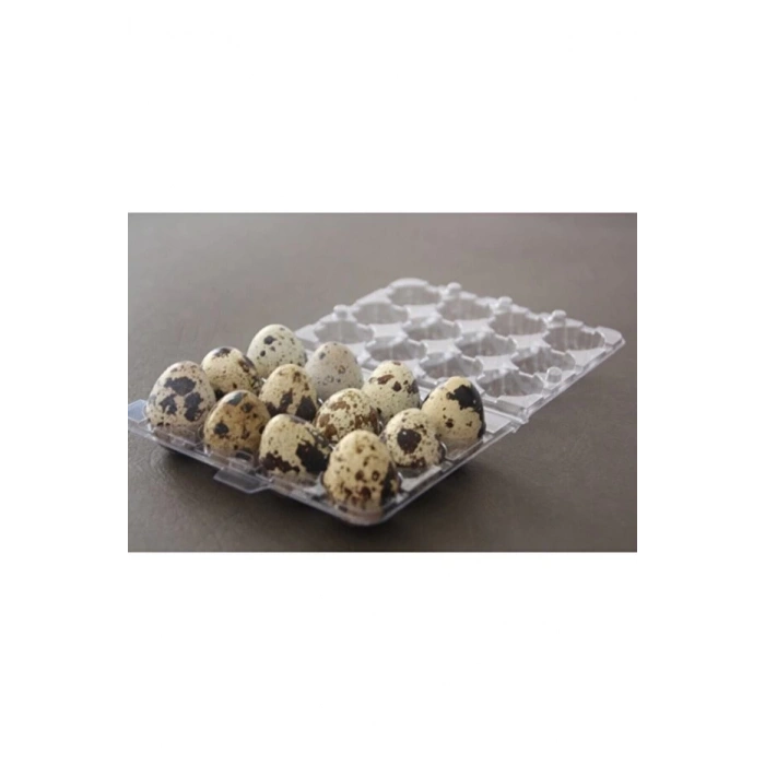 Yumurta Viyolü 12 Li Bıldırcın 100 Adetli