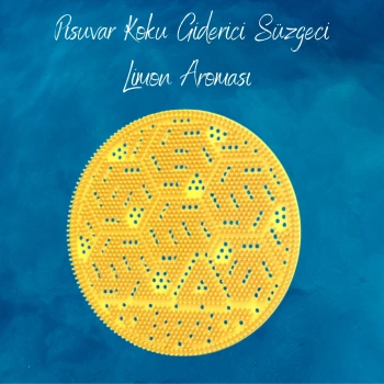 Carpex Pisuvar Koku Giderici Süzgeci - Limon