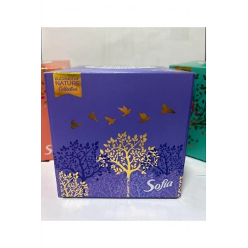 Sofia Küp Kutu Mendil 50 Li