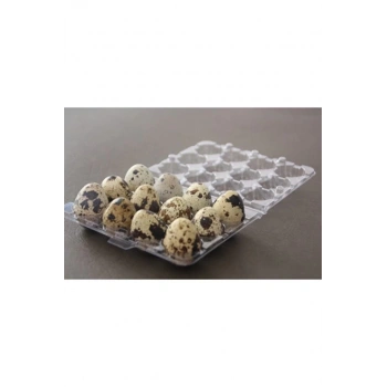 Yumurta Viyolü 12 Li Bıldırcın 100 Adetli